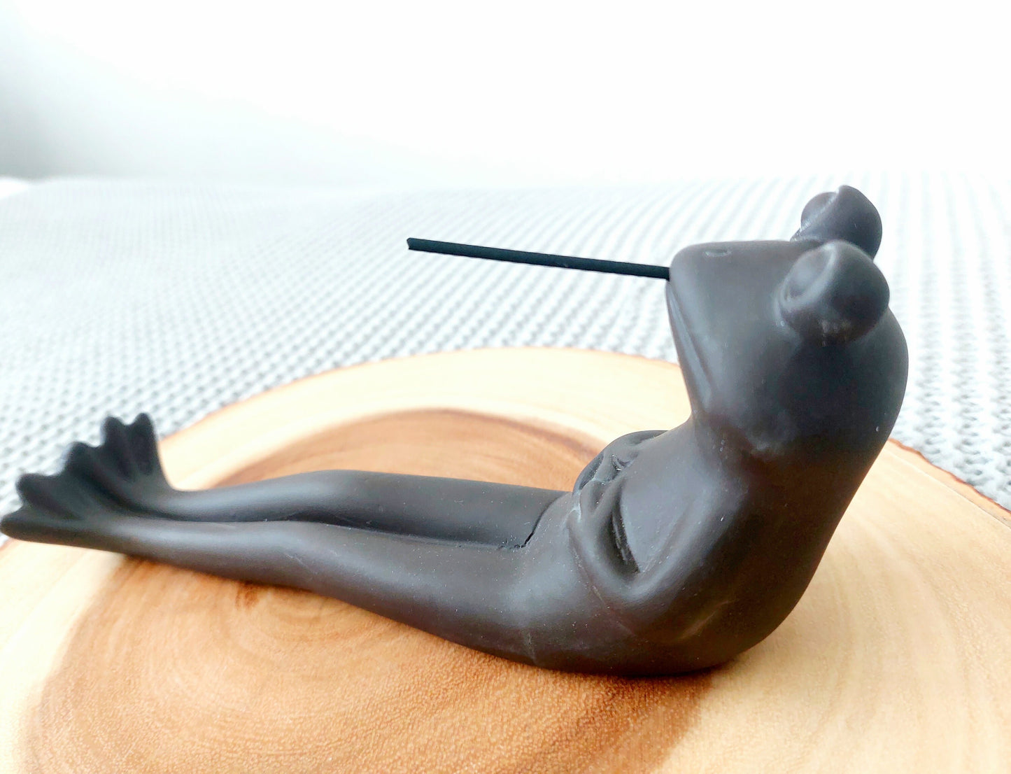 Relaxing Frog Incense Stick Burner / Holder